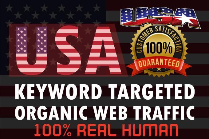 I will drive niche targeted real organic USA web traf...