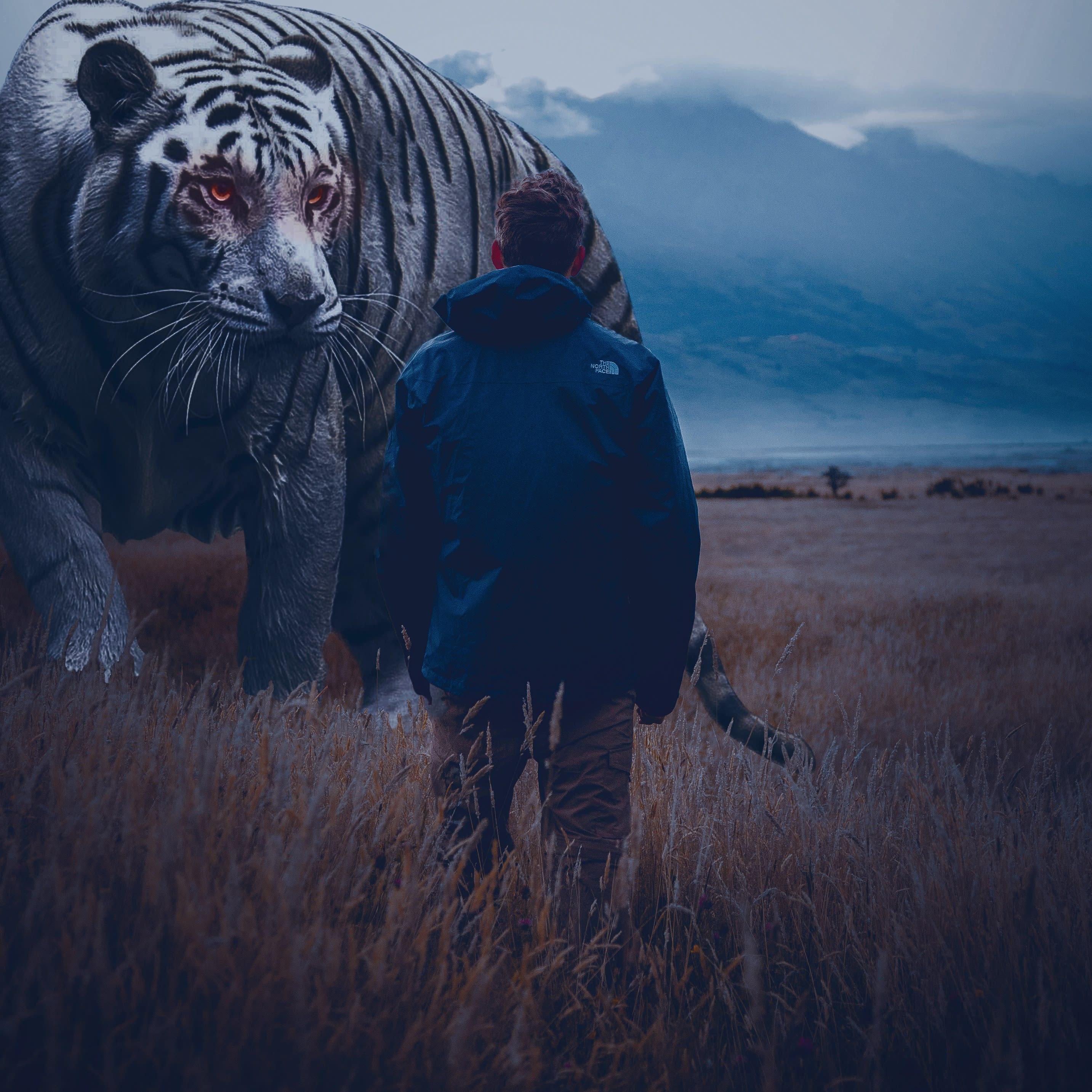 I will photo manipulation editing photoshop