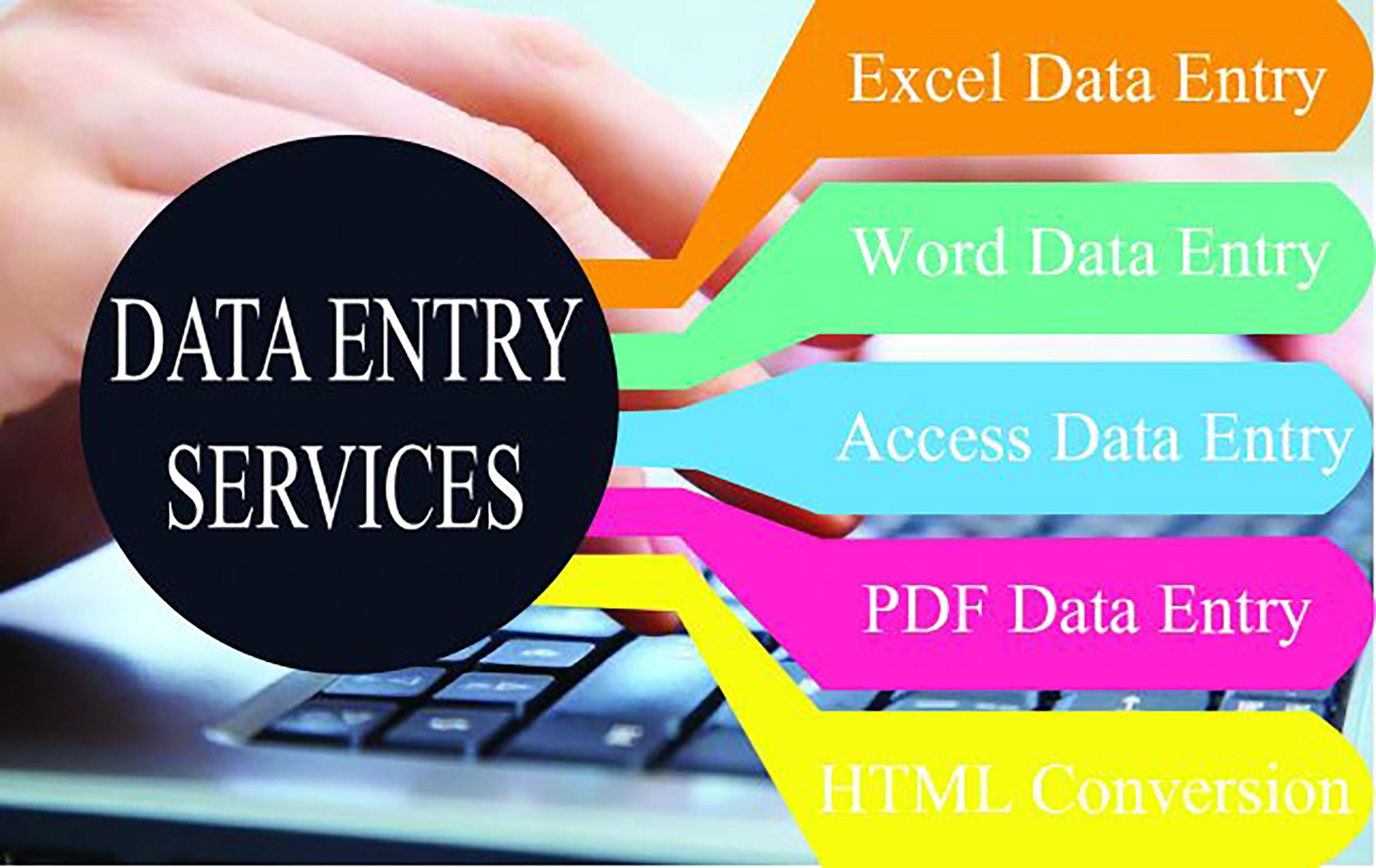 I Will Do Any Kind Of Data Entry work and be your vir...