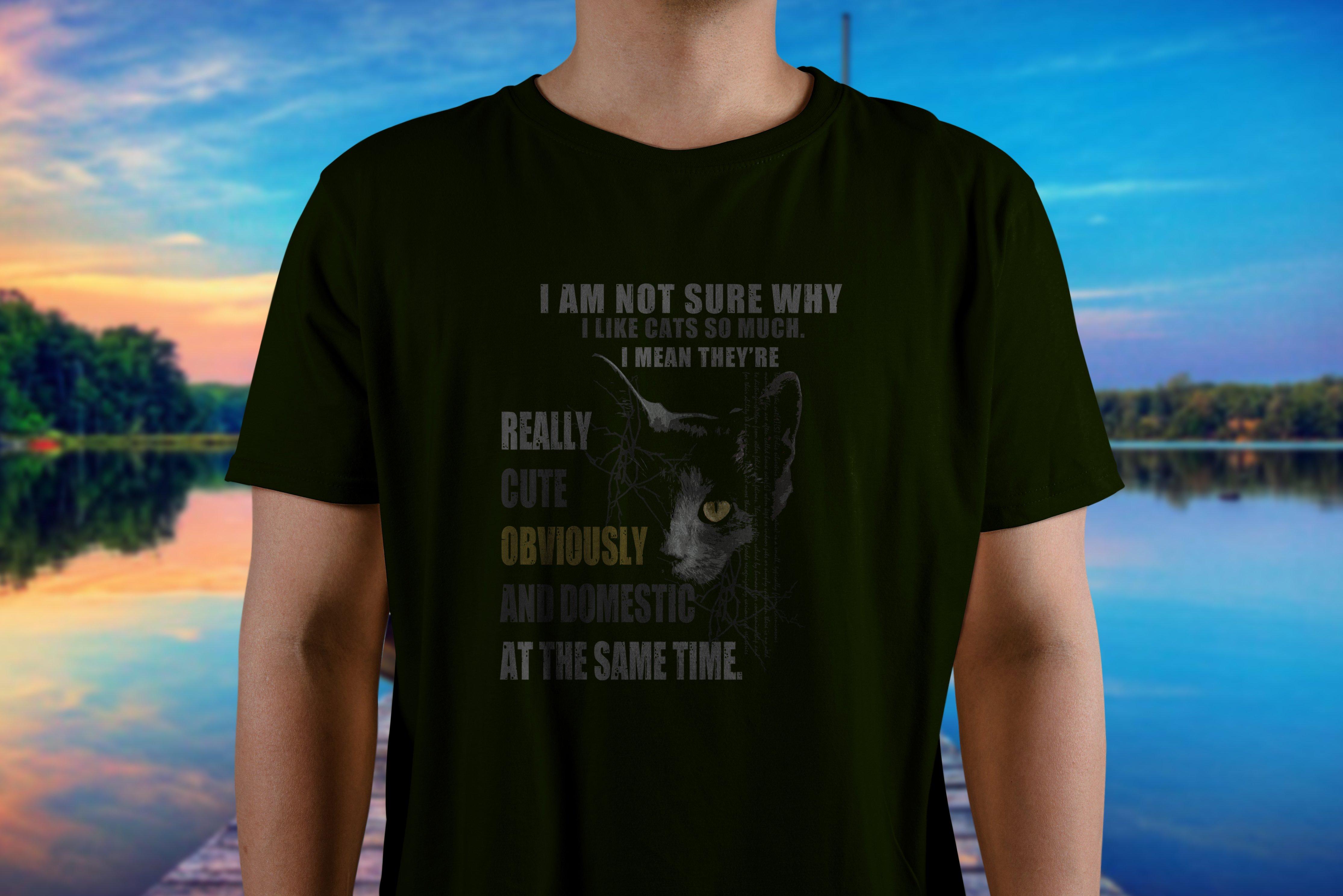 I will illustrate awesome designs to print on your t ...