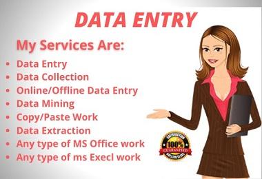 I will do your data entry in virtual assistant and we...