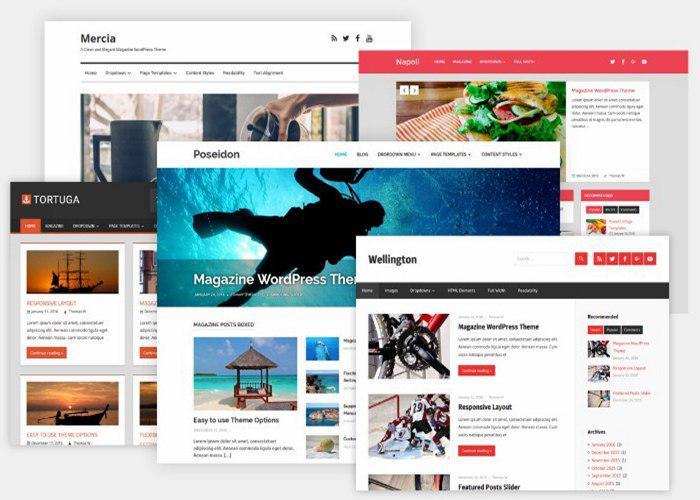 I will Create a Professional & Responsive WordPress W...