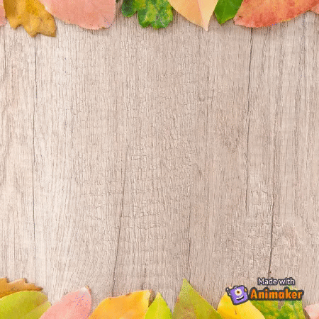 GIF maker make your day happy with best GIF's