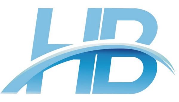 I Will Design Unique & Professional Logo