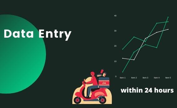 I will provide data entry, copy-paste