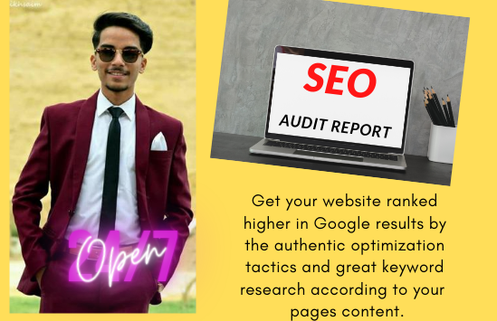 I will provide you with the SEO audit report of your ...
