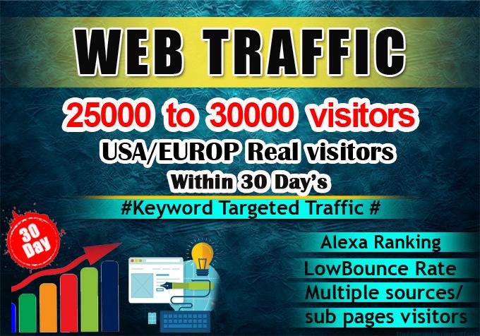 I will send real organic keyword target website traff...