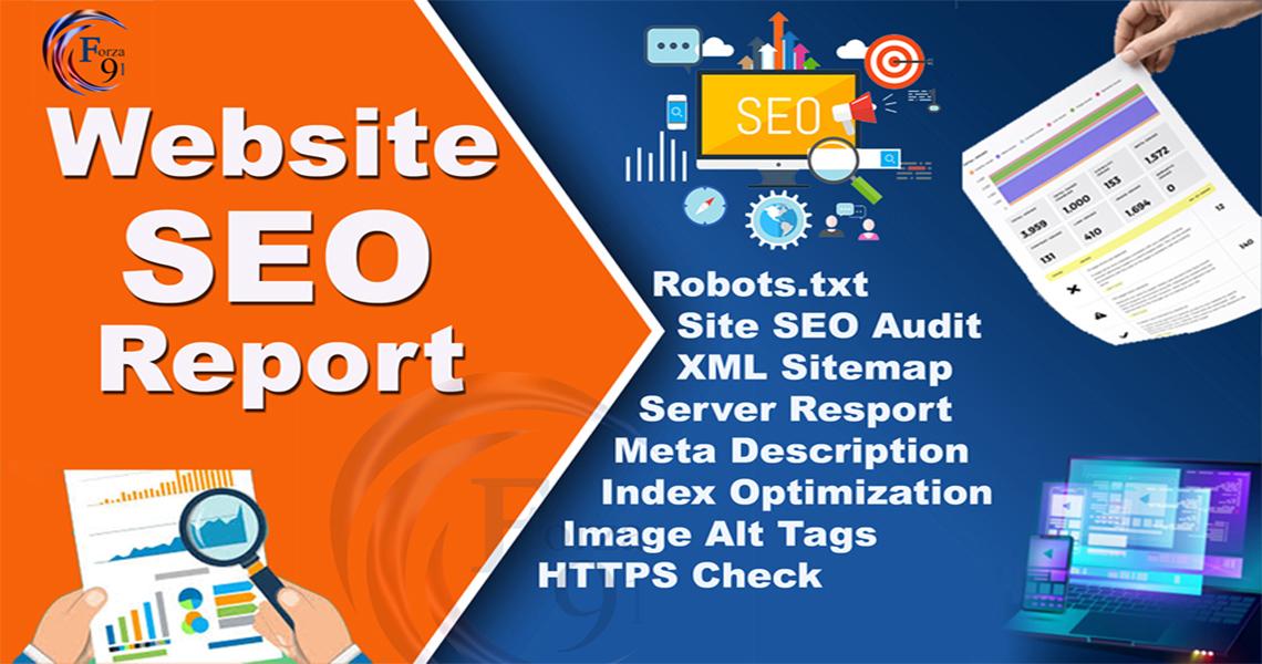 i will provide expert website SEO audit report any ki...