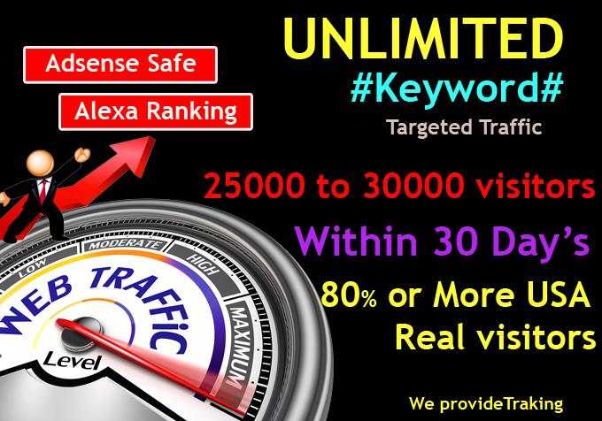 UNLIMITED Human Web Traffic, Real Organic Google Twi...
