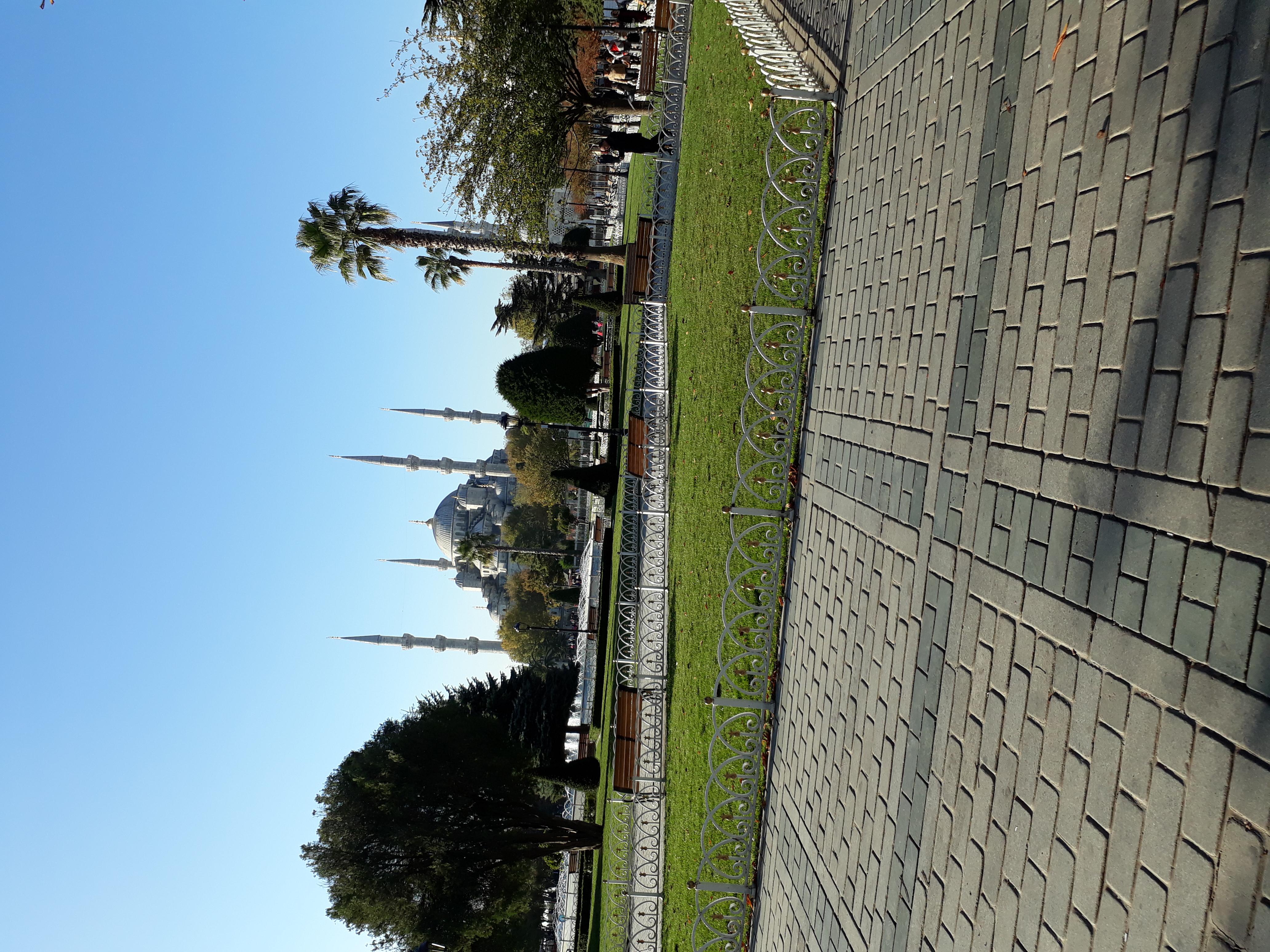 I will provide social media content for you