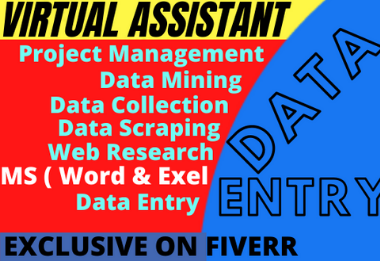 I will do your virtual assistant for data entry and w...