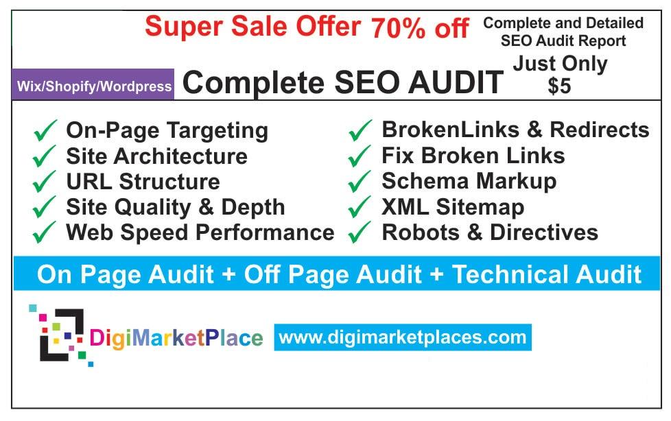 I will provide a professional SEO audit report and ac...