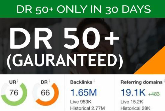 DR for your website in 30 days Guaranteed Get your of...