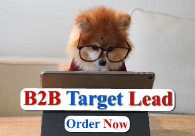 I will do LinkedIn b2b lead generation and verified e...