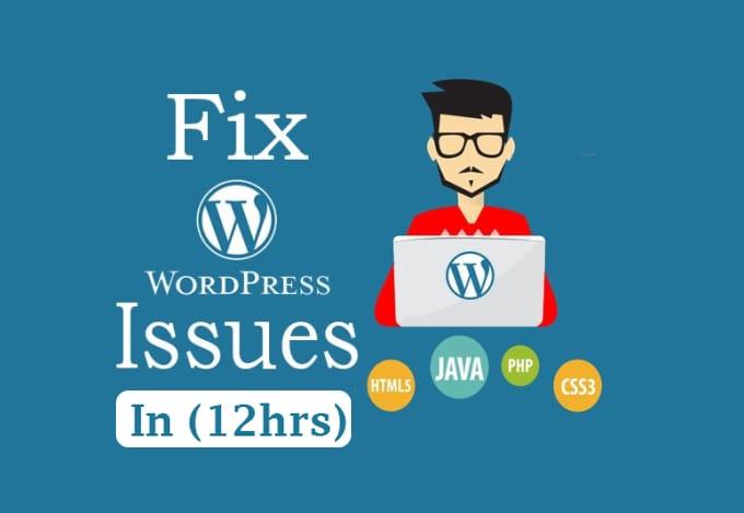I will do maintenance, updates, fixes to wordpress i...