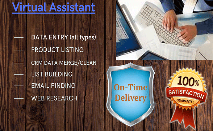 be your virtual assistant for data entry, data minin...