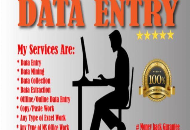 I will do in half day of any data entry copy paste an...