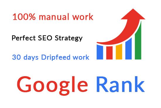 I will provide google ranking full service