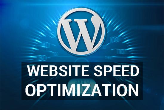 I will control website speed optimization