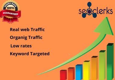 I will bring organic web traffic