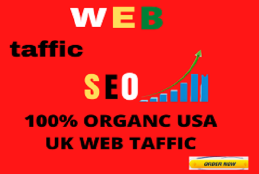 I will send organic targeted web traffic