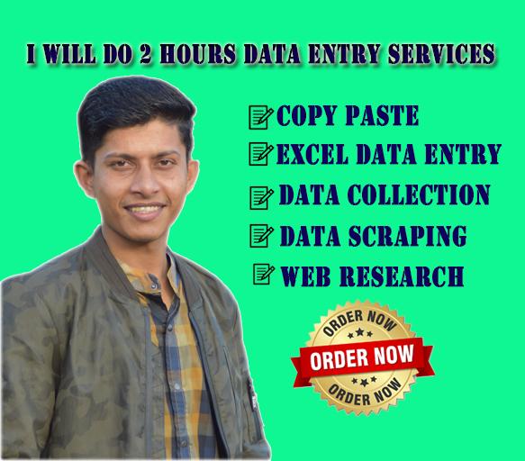 I will do 2 hours data entry services, pdf to excel ...