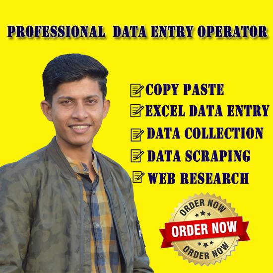 I will do data entry, copy paste, web scraping and ...