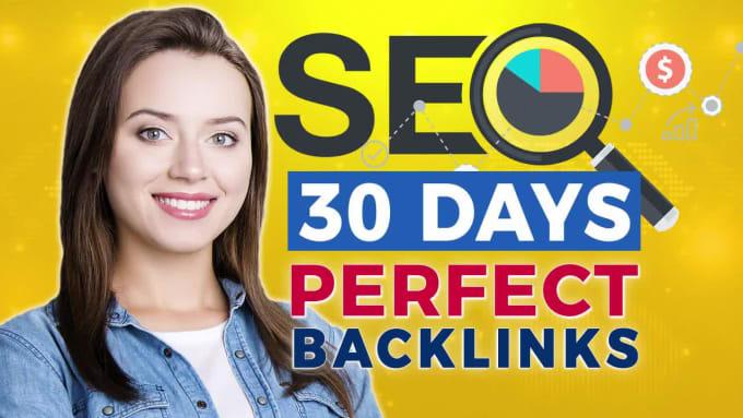 I will provide 30 high DR 50 plus PBN links with seo ...