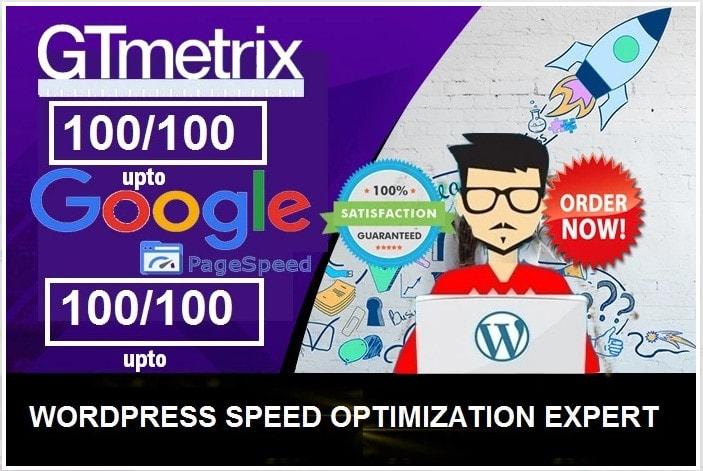 I will do Increase WordPress website in Google Page S...