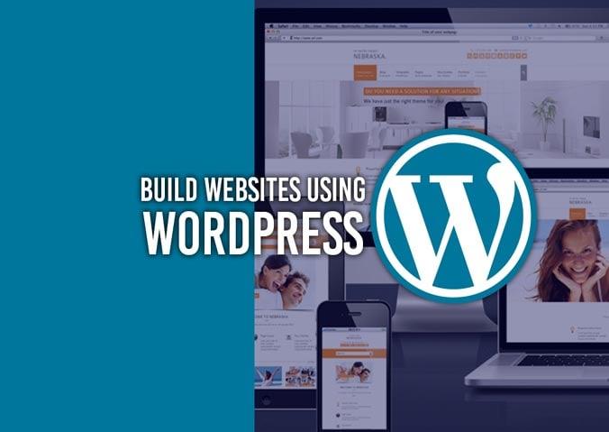 I will design a wordpress website professionally