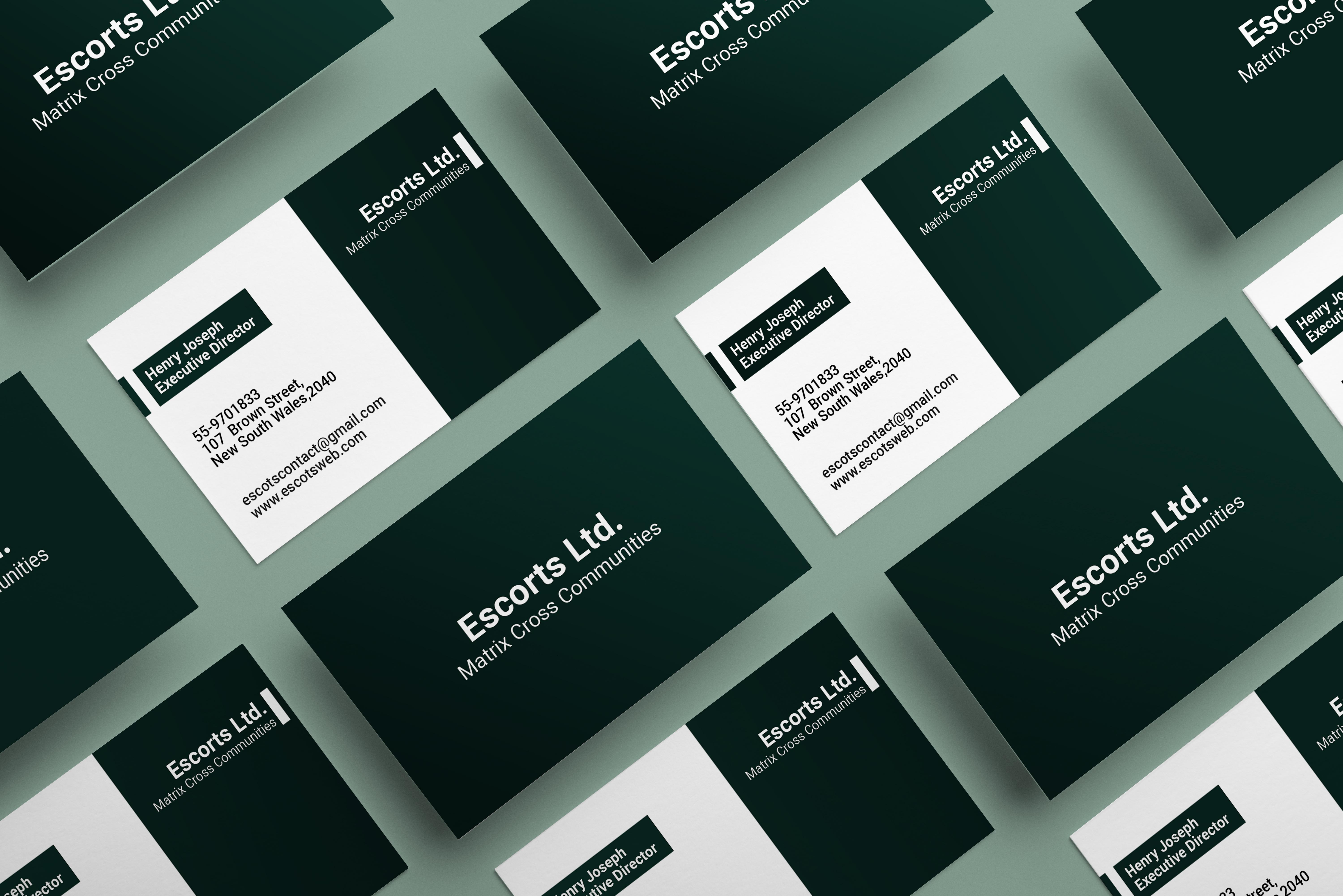 I Will Create Professional and minimalist Business Ca...