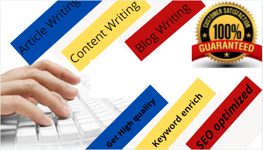 I will manually write 1000+ words SEO friendly articl...