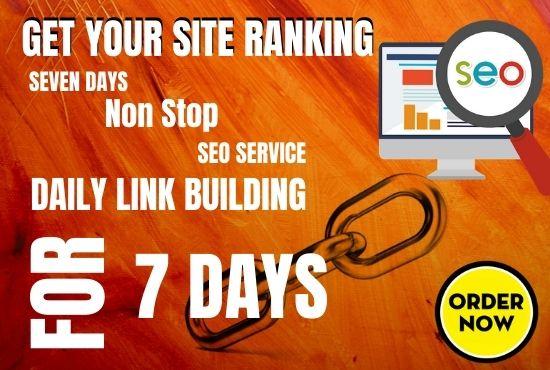 Best Weekly White Hat Backlinks Services - Daily Link...