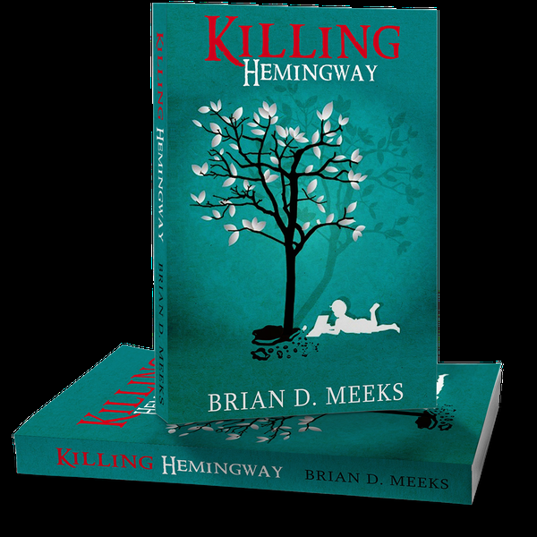 I will make a high quality ebook cover professionally...