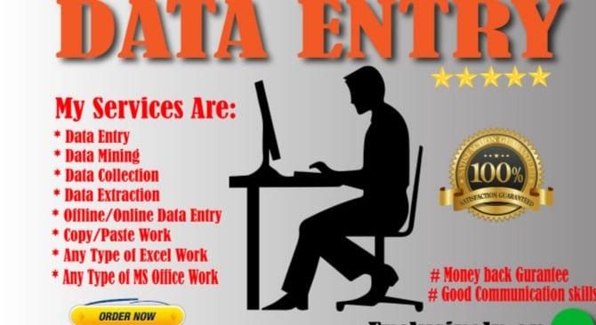 I can do any type of data entry work and be your virt...