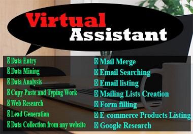 I will be your perfect personal Virtual Assistant for...