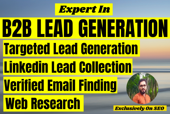 I will do targeted b2b leads generation and web resea...