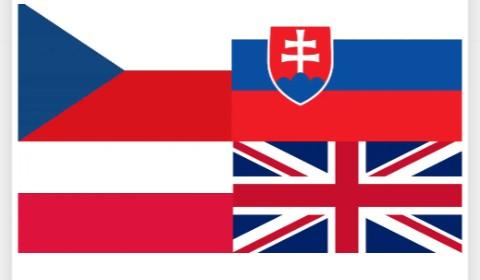 I will translate any language to English or from Engl...