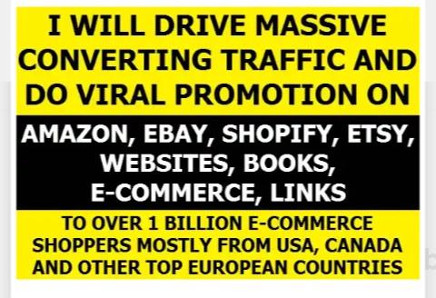I will drive real human traffic with proof to ecommer...