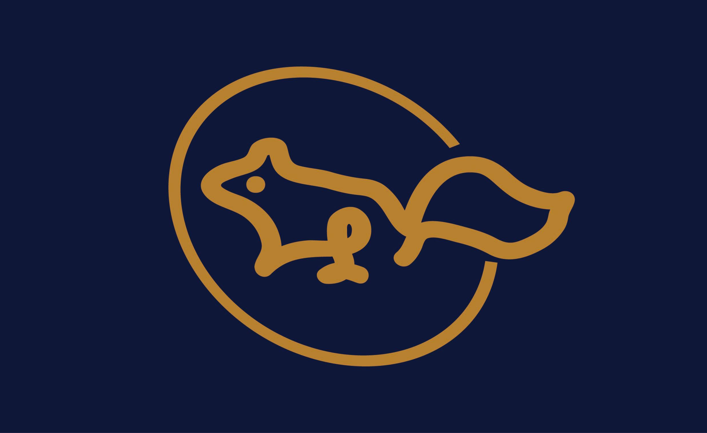 I will design professional and creative business logo