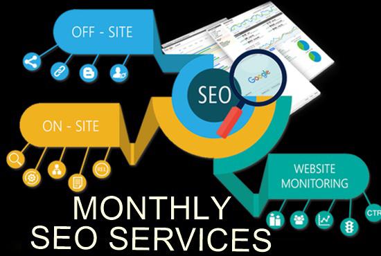 I will deliver monthly SEO service with backlinks for...