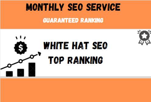 Provide a Complete monthly SEO Service With backlinks...