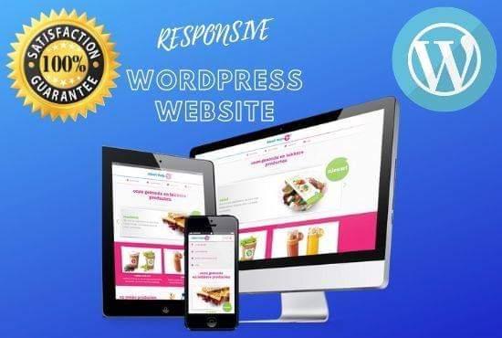 i will design and redesign wordpress responsive websi...