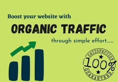 I will drive Keyword Targeted Organic Google Web Traf...