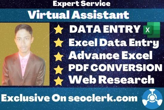 I will be your professional virtual assistant for exc...