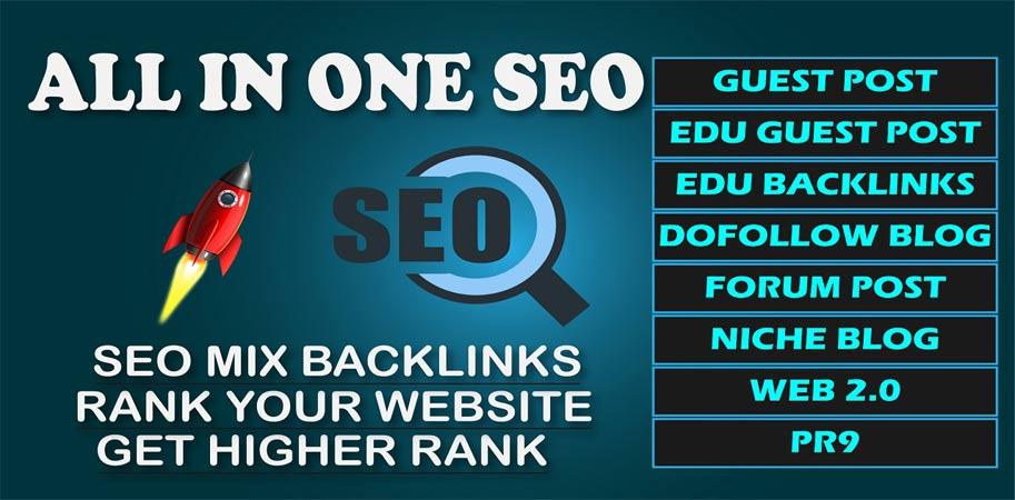 All in One SEO 250+ Backlinks Service Pack Google Fir...