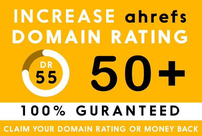 I'll increase your domain rating DR 50 plus with seo ...