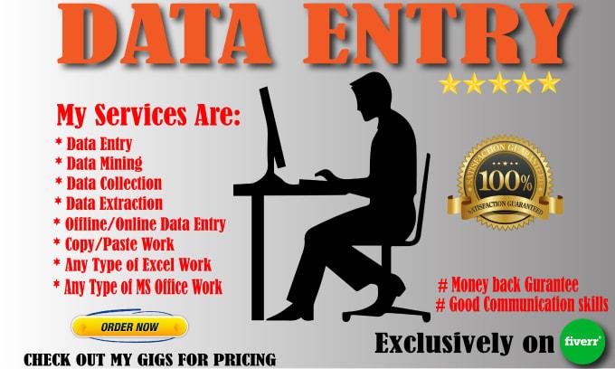 I will data entry, copy paste and excel data entry &...
