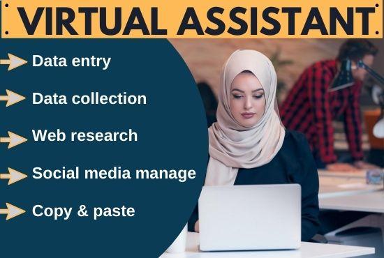 I will be your virtual assistant for data entry and w...