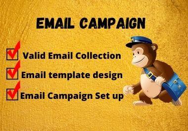 I will collect emails and setup email campaign for yo...